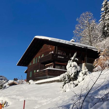 Apartment Helene Apt Diana By Interhome Wengen Exterior foto