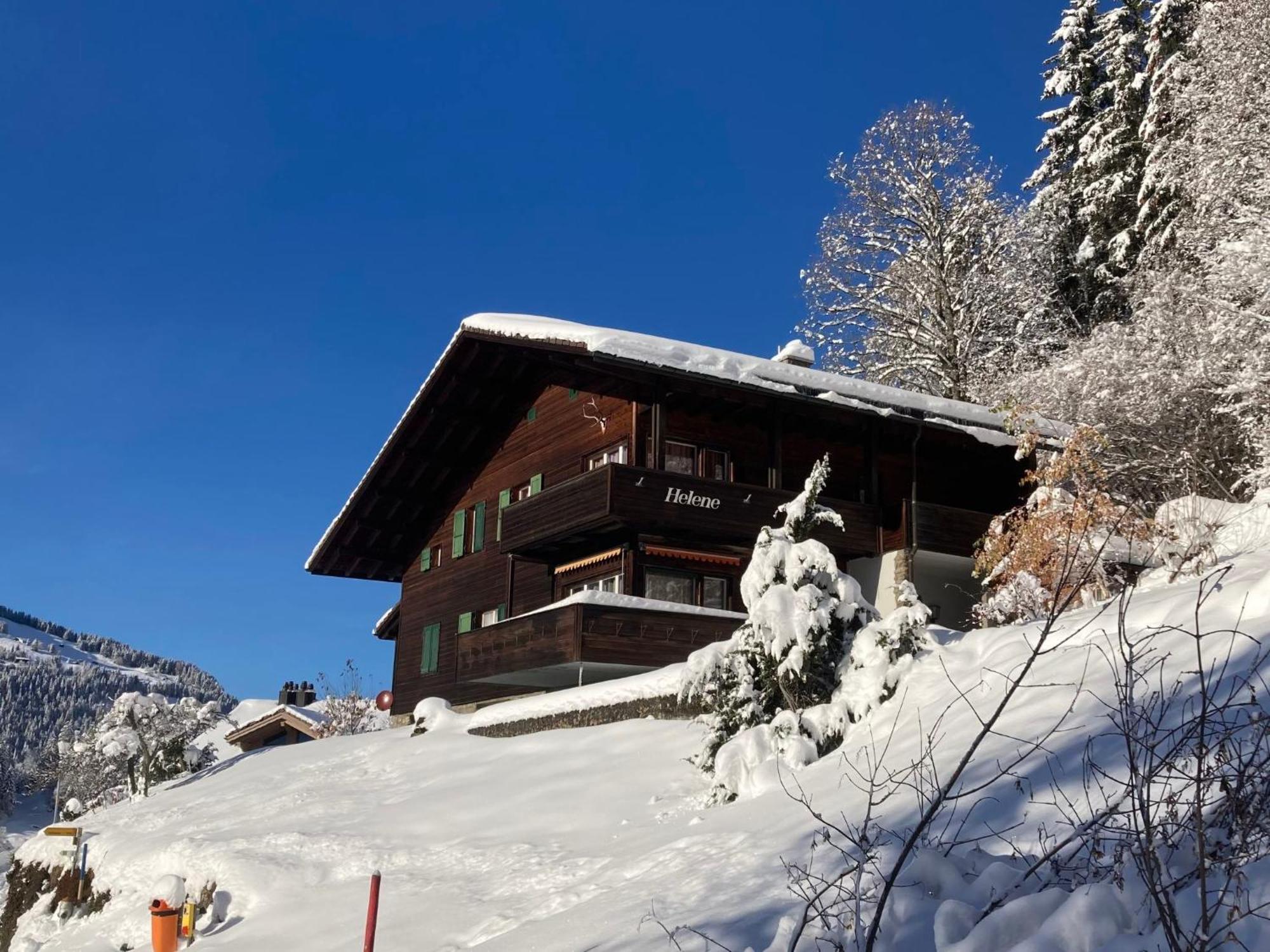 Apartment Helene Apt Diana By Interhome Wengen Exterior foto